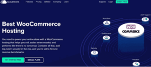 最好的8款WooCommerce虛擬主機對比 - bluehost WooCommerce虛擬主機, Cloudways