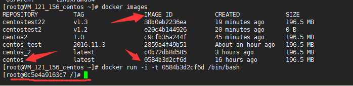 關于docker--詳解安裝，常規操作，匯入匯出等 - 303Donatello - 303Donatello