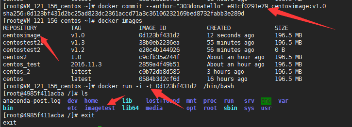 關于docker--詳解安裝，常規操作，匯入匯出等 - 303Donatello - 303Donatello