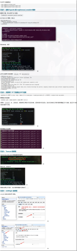 canvas canvas