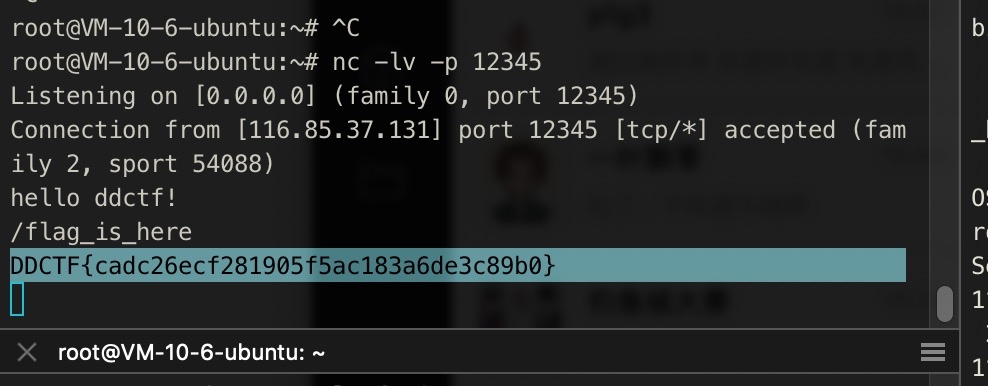 -w494