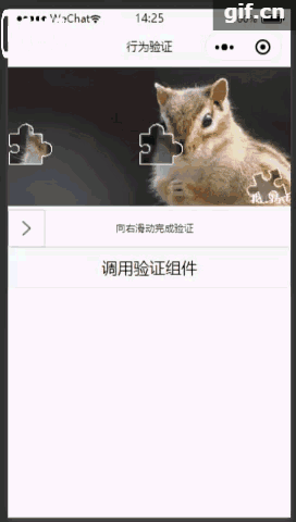 行為驗證