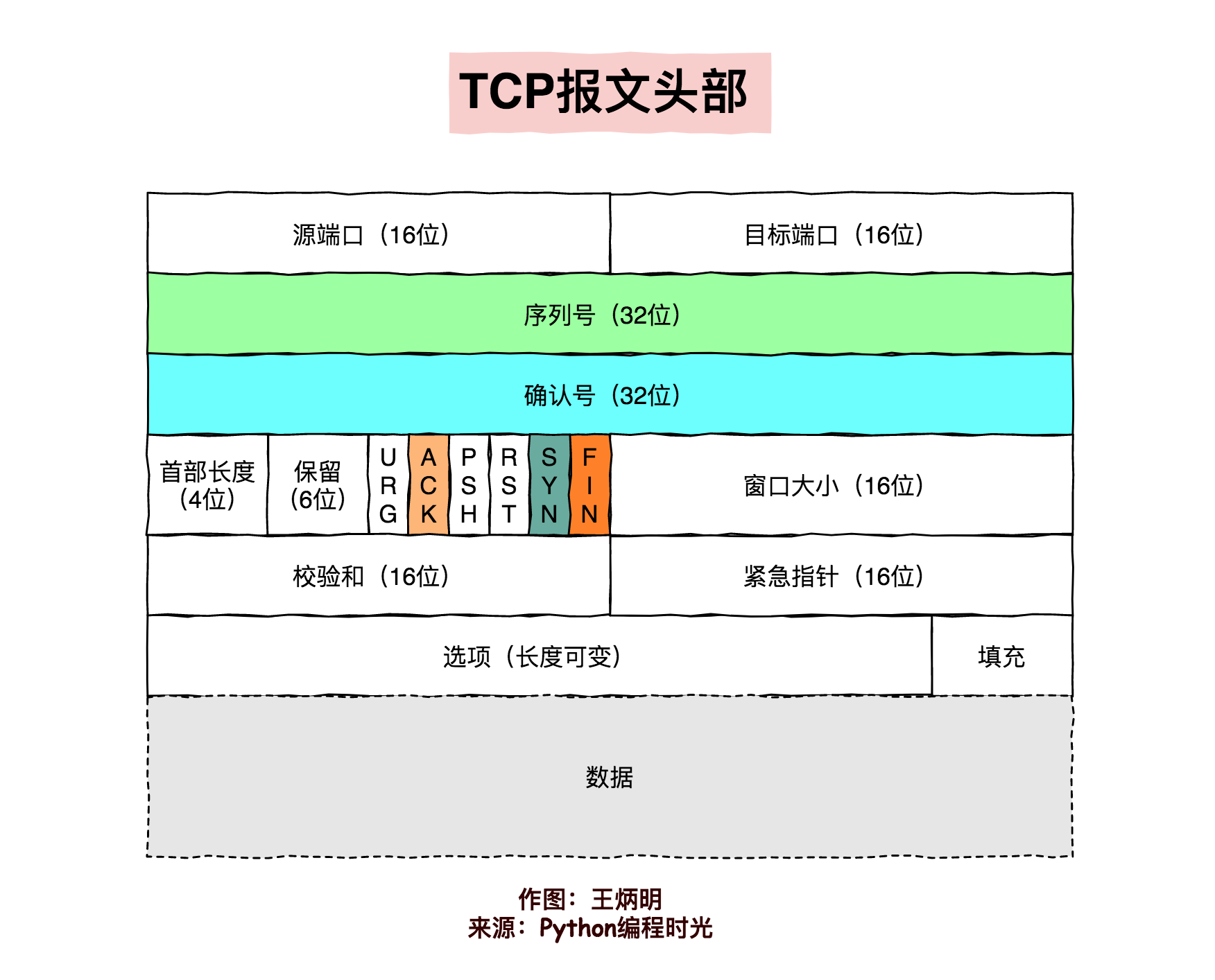 TCP 報文首部