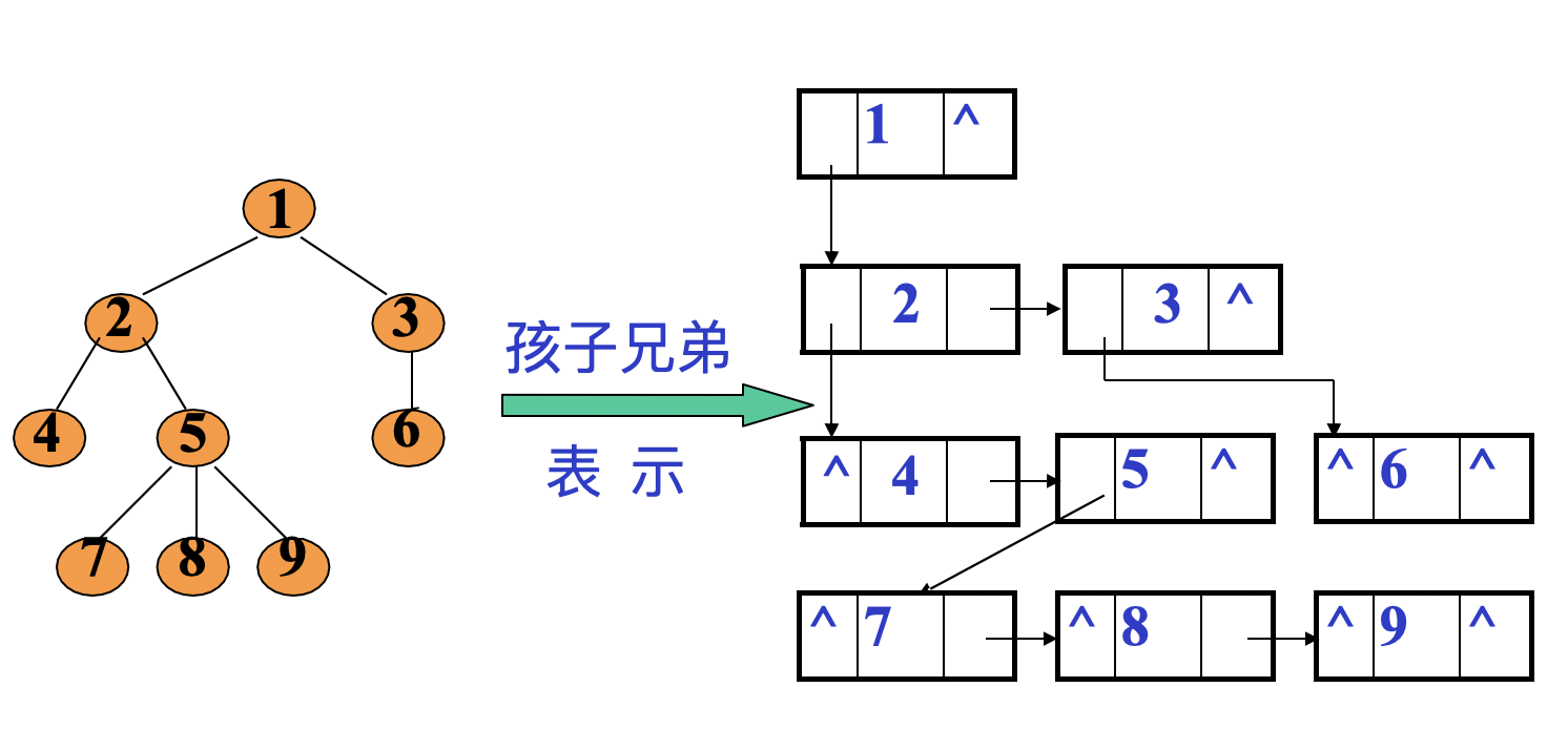 image-20200610104528702