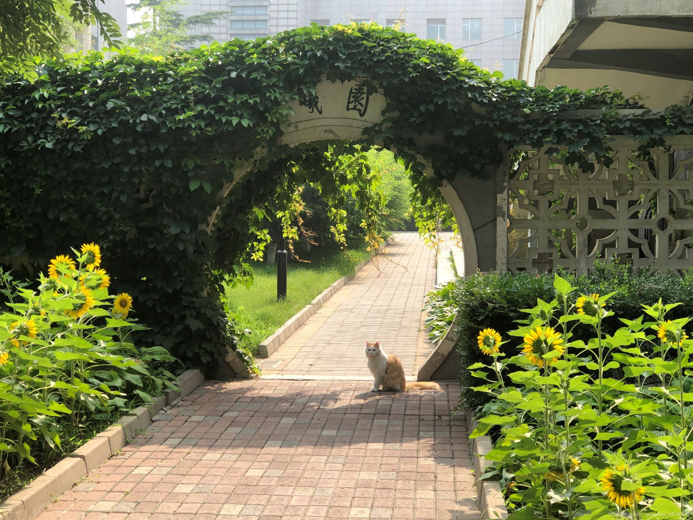 在這里插入圖片描述