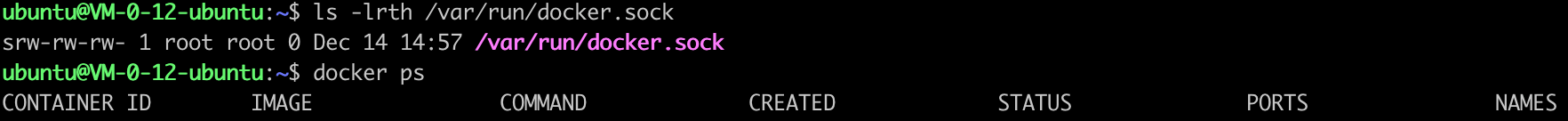 /images/how-to-use-docker-command-in-non-sudo-user-4.png