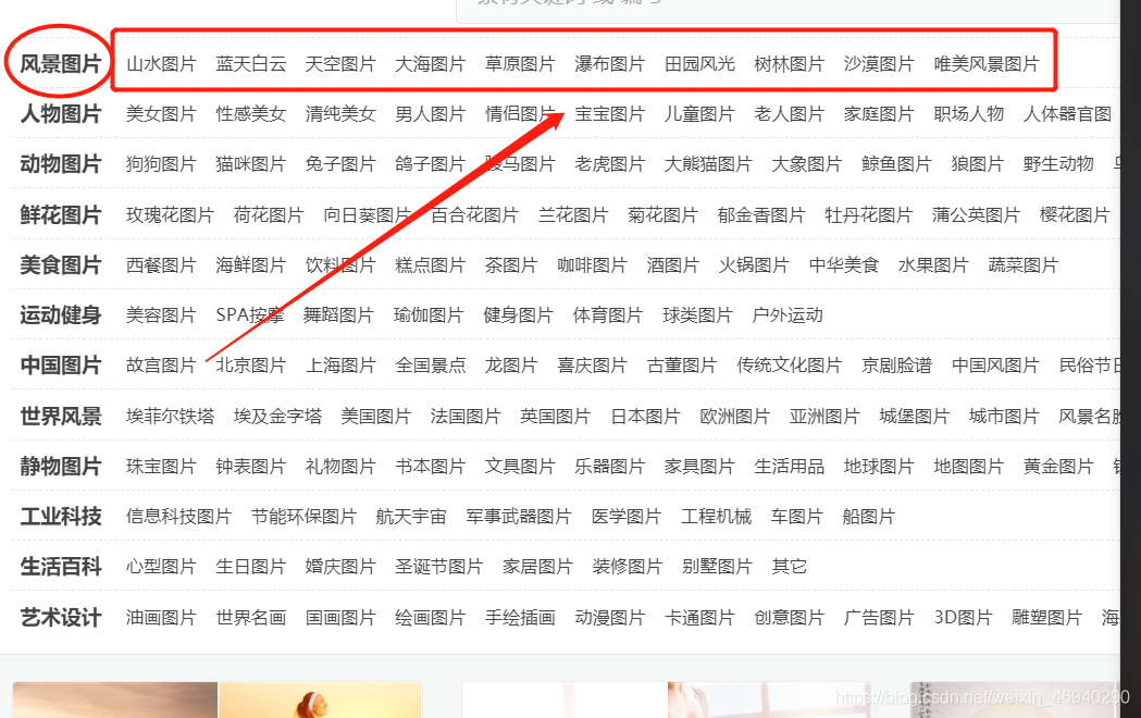 這里不包括風景圖片等大類
