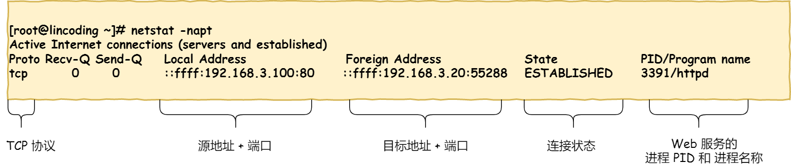 TCP 連接狀態查看