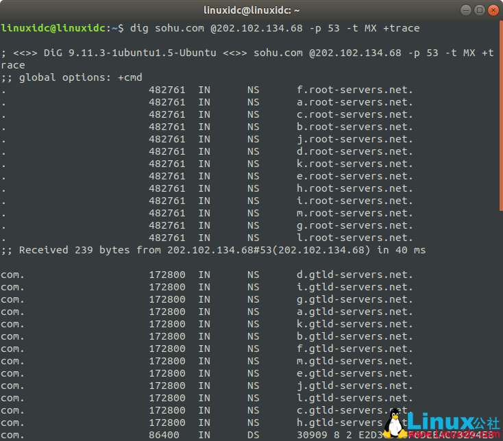 Linux dig 命令使用詳解
