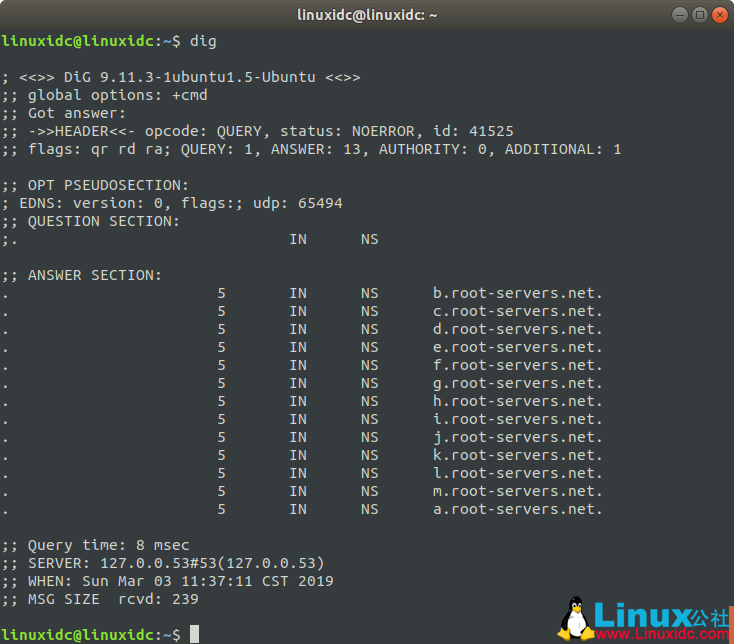 Linux dig 命令使用詳解