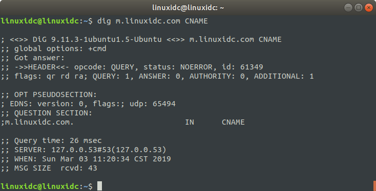 Linux dig 命令使用詳解