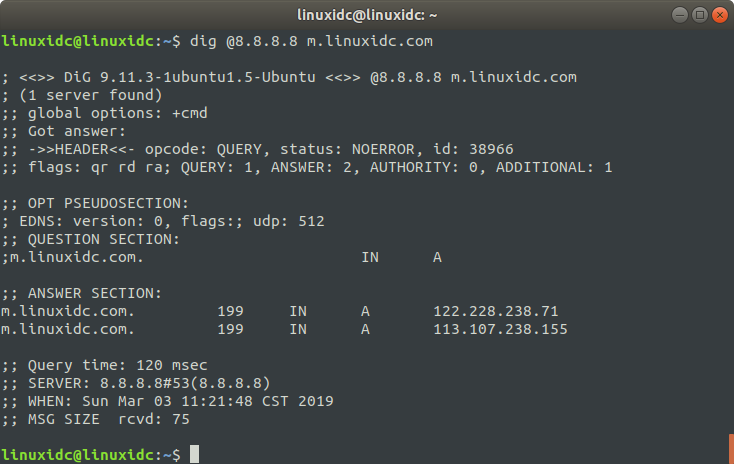 Linux dig 命令使用詳解