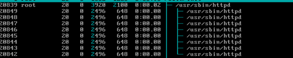 Linux htop工具使用詳解