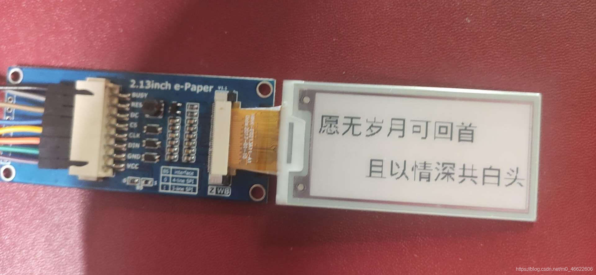 在這里插入圖片描述