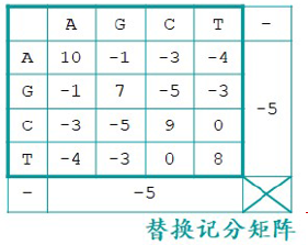 替換記分矩陣
