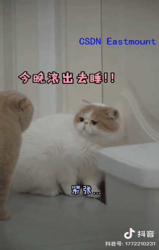 請添加圖片描述