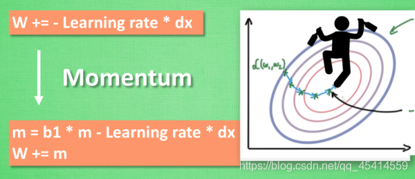 Momentum