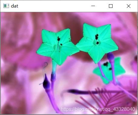 在這里插入圖片描述