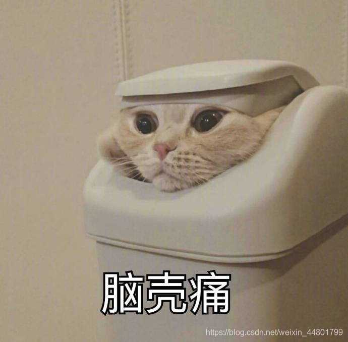 在這里插入圖片描述