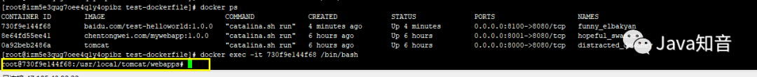 面試官:你說你精通 Docker,那你來詳細說說 Dockerfile 吧 面試官:你說你精通 Docker,那你來詳細說說 Dockerfile 吧