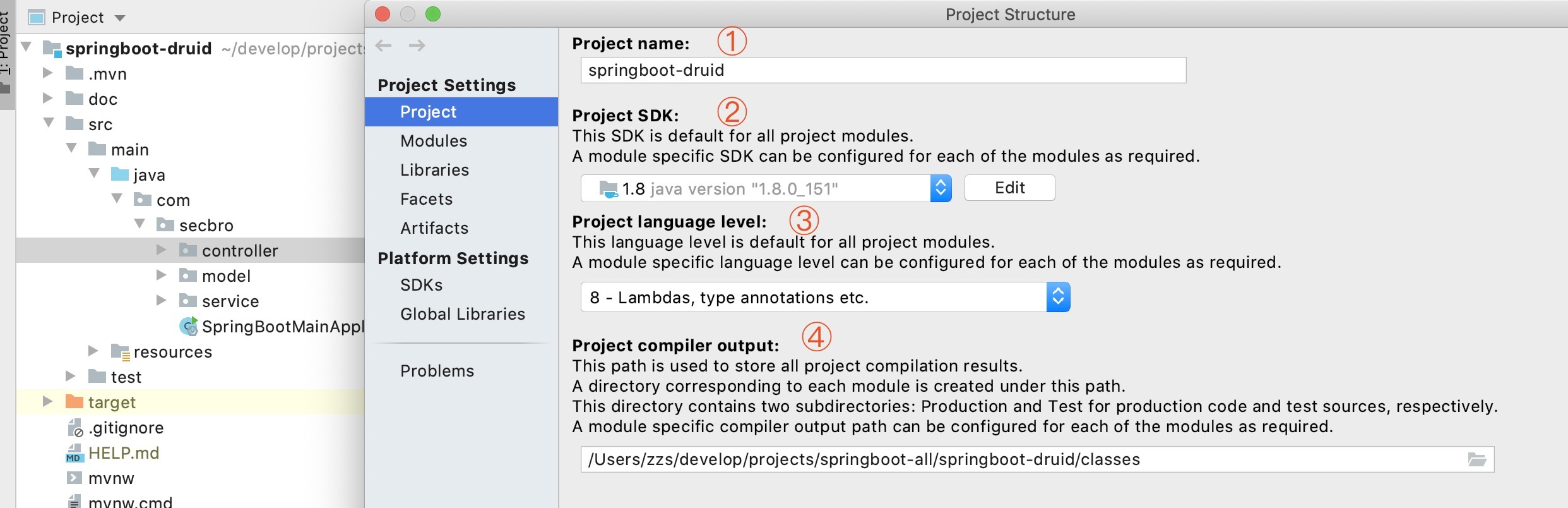 Idea Project Structure