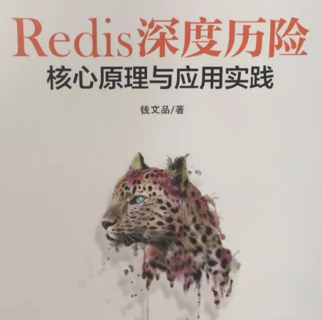 膜拜!這份技術點拉滿的Redis深度歷險筆記,價值百萬