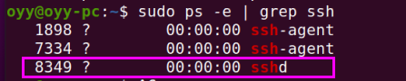 查看openssh-server 啟動服務