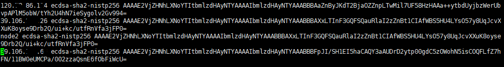 vim vim ~/.ssh/known_hosts