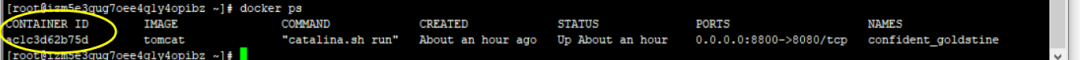 30分鐘快速上手Docker，看這篇就對了！