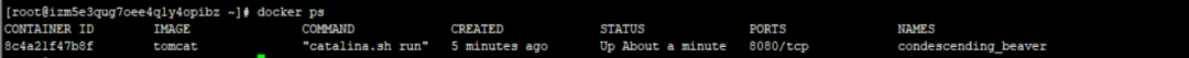 30分鐘快速上手Docker，看這篇就對了！