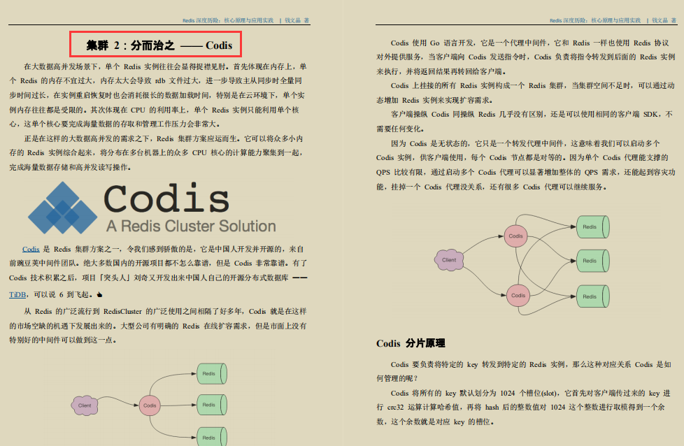 必傳之作!Alibaba內部出品Redis深度筆記及原始碼寶典