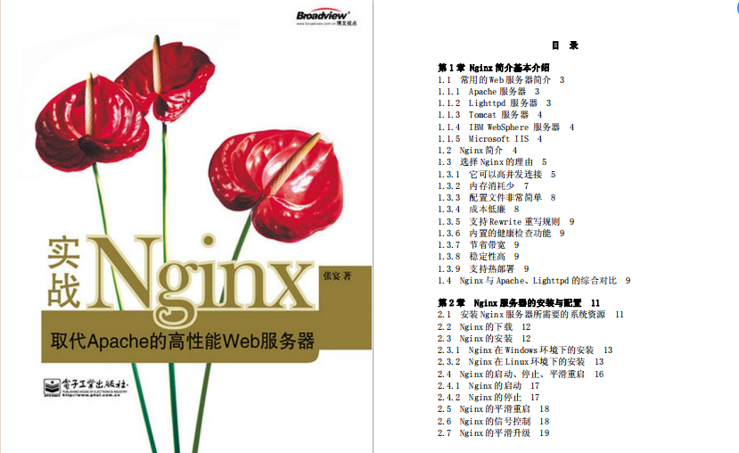 阿里架構師心血總結微服務+分布式+大資料+Flink+機器學習檔案！