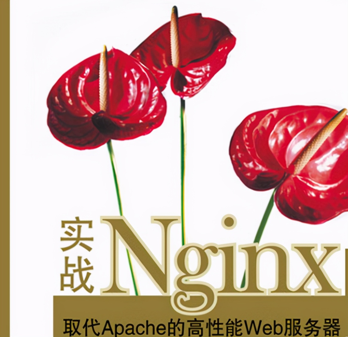 GitHub上優質Netty+Nginx+Redis檔案整理