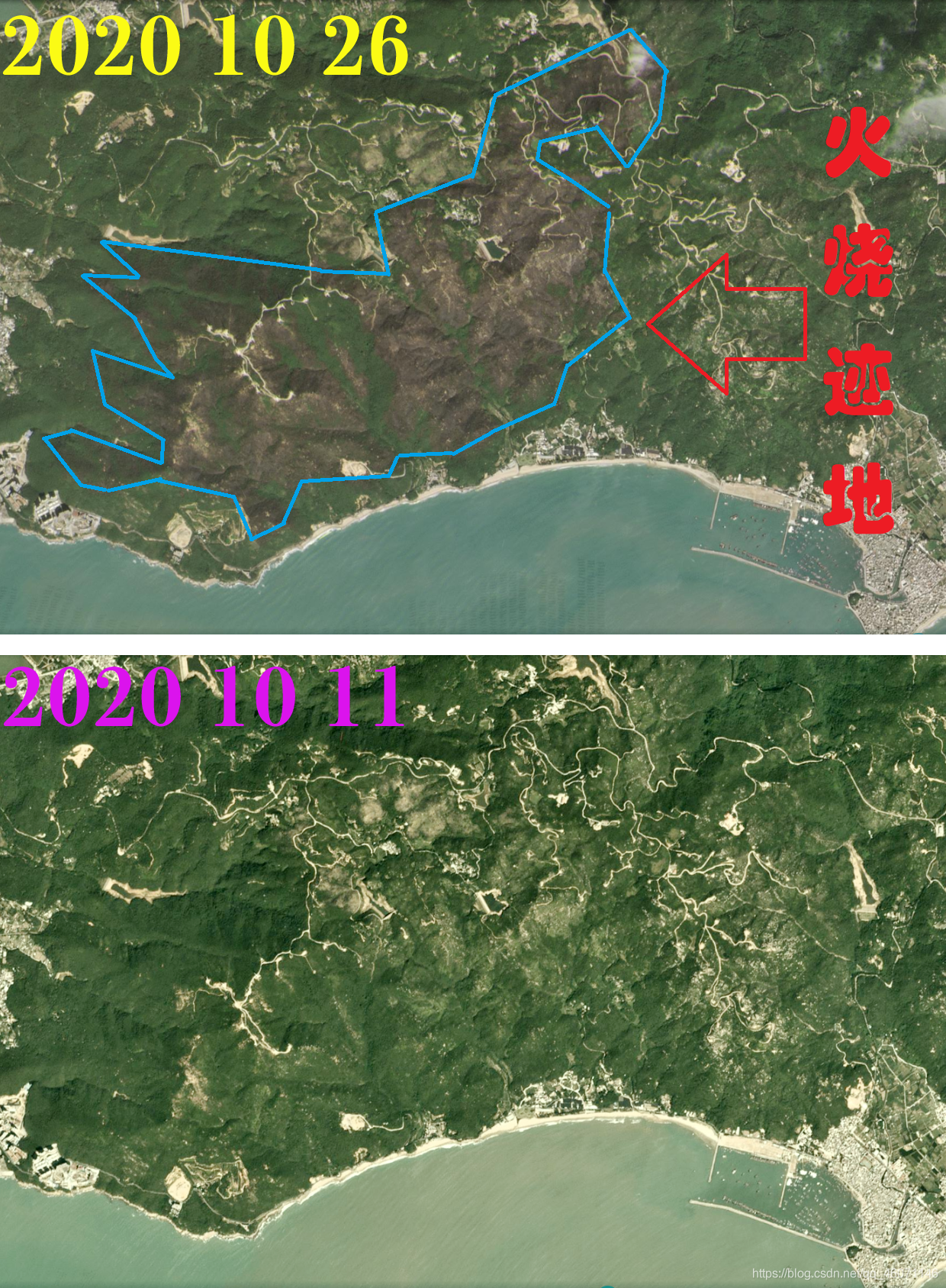 在這里插入圖片描述
