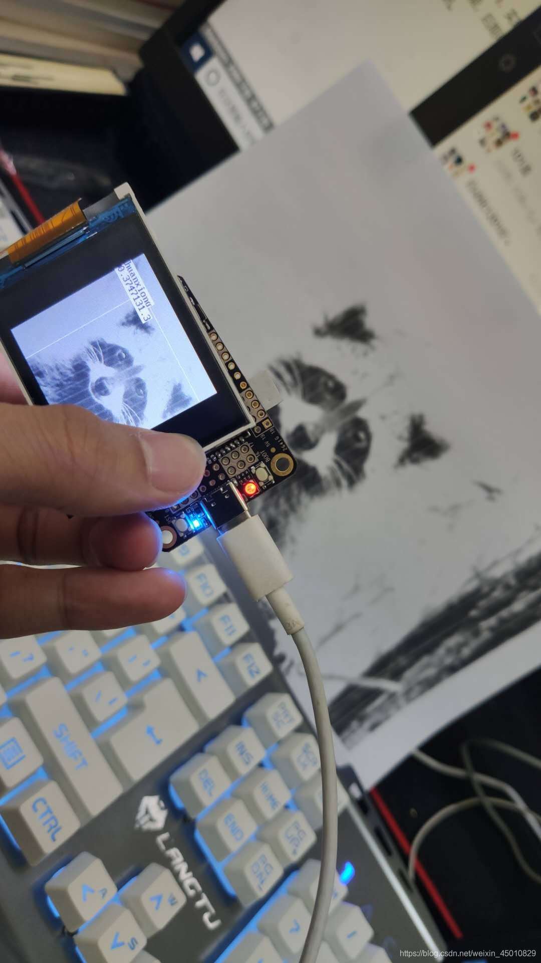 在這里插入圖片描述