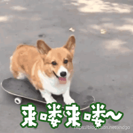 在這里插入圖片描述