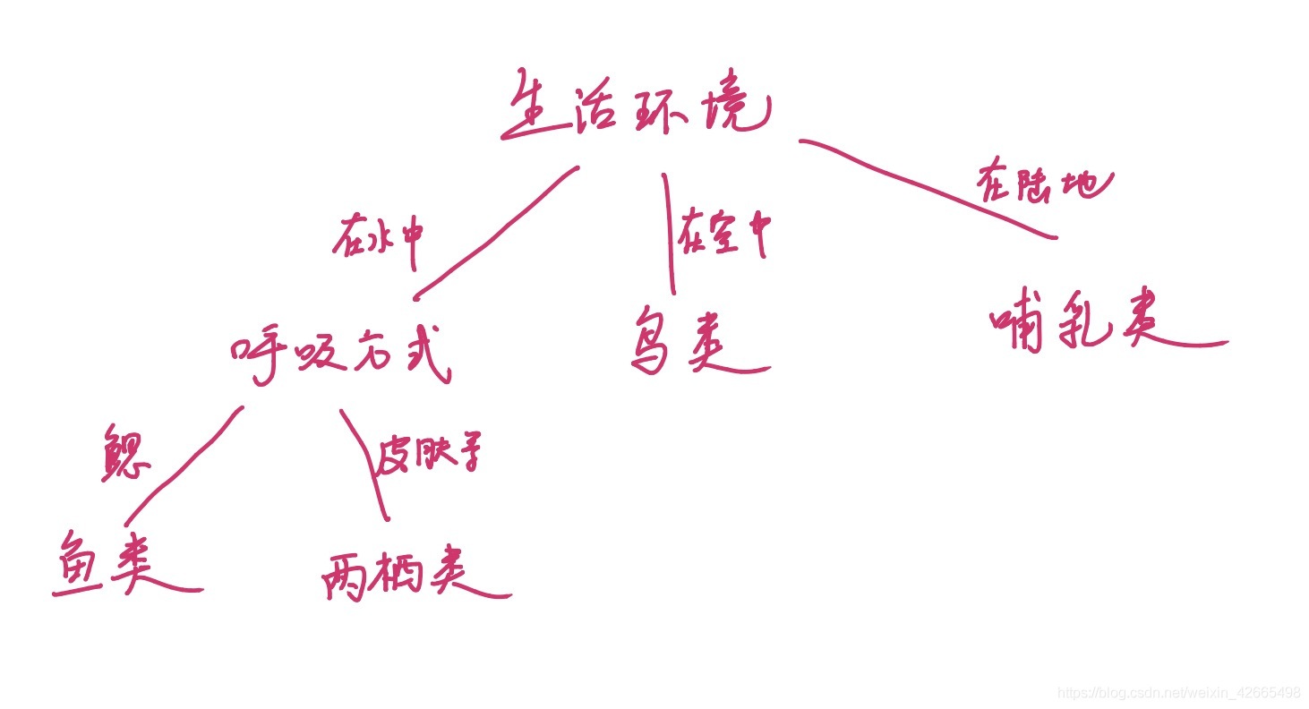 決策樹
