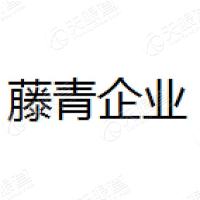 深圳市藤青企業管理有限公司