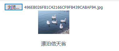 在這里插入圖片描述