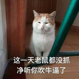 吹牛