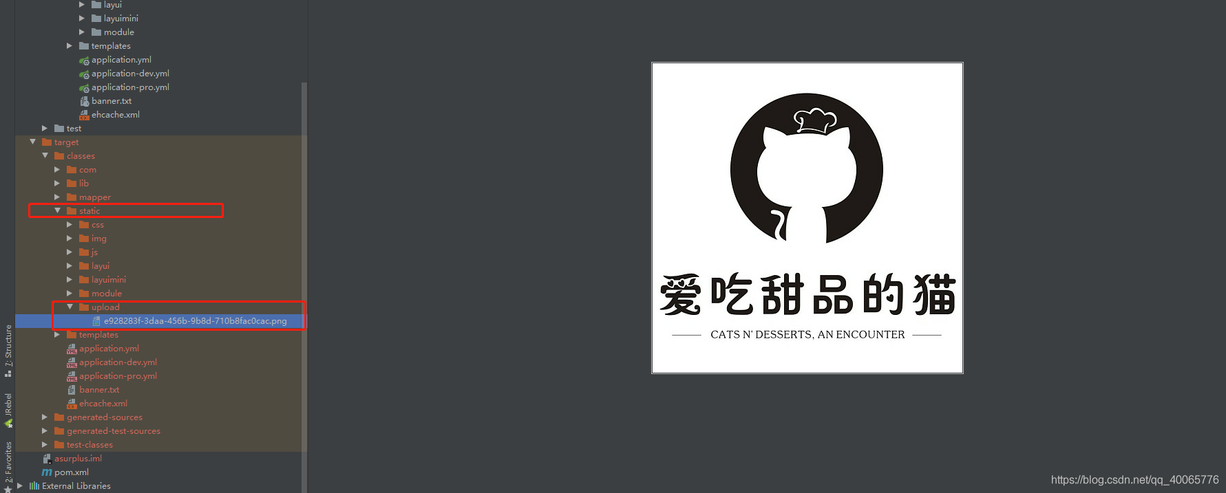 上傳目錄