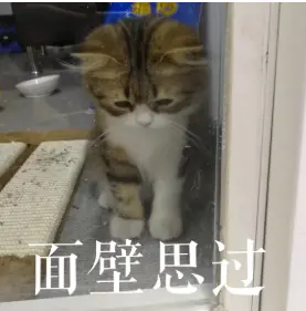 痛定思痛，一個慢SQL引起的慘案，我悟出了許多！