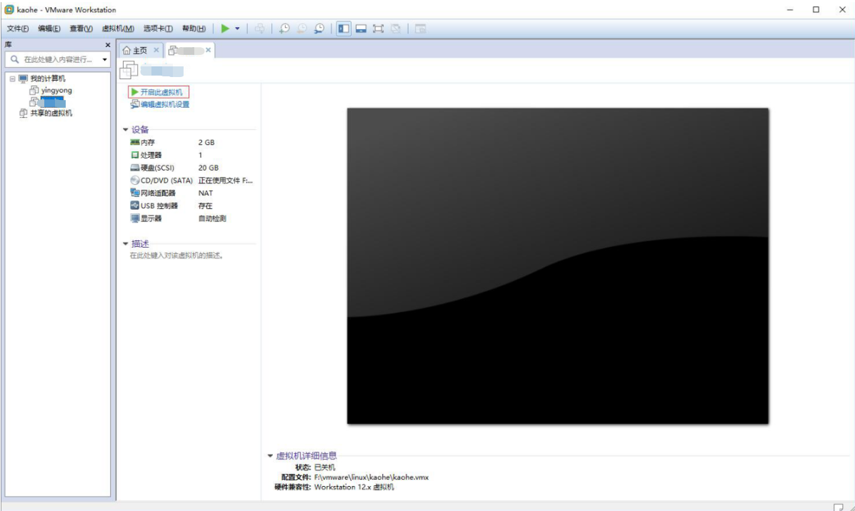image-20201215164445845