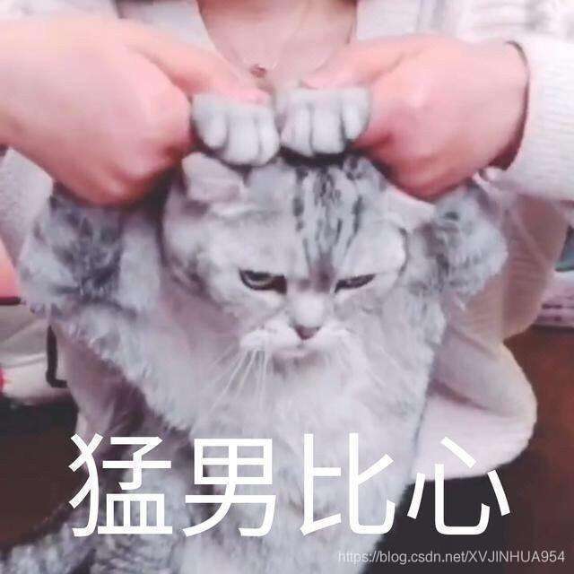 在這里插入圖片描述