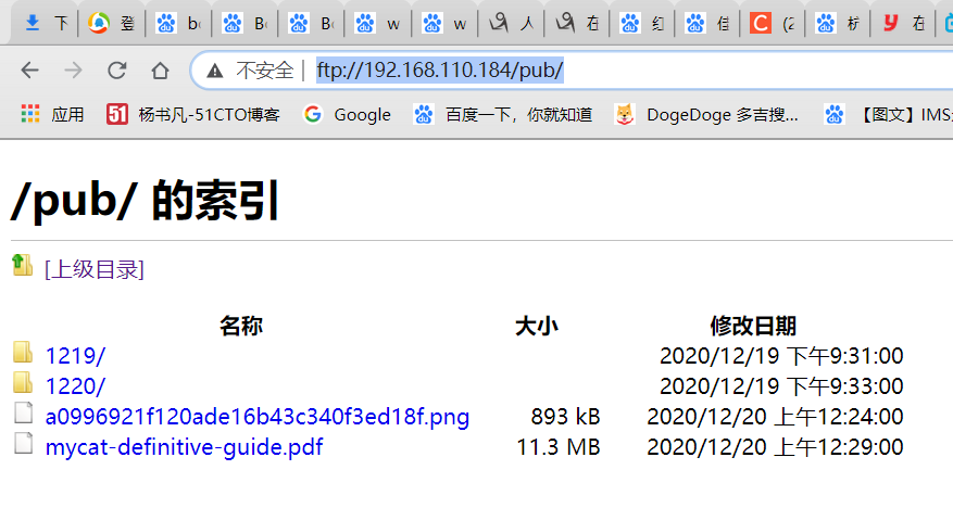 image-20201220004008183