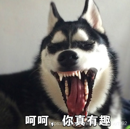 在這里插入圖片描述