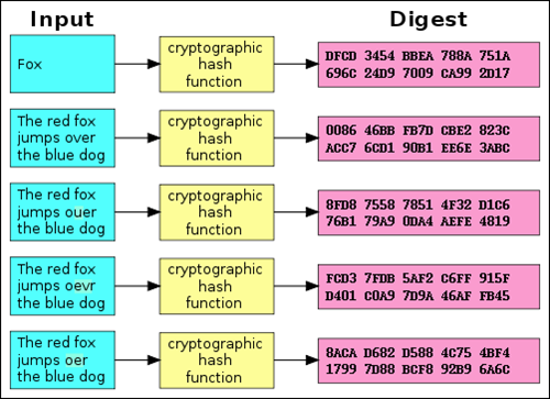 digest