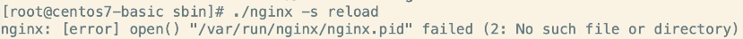 /nginx.pid-error