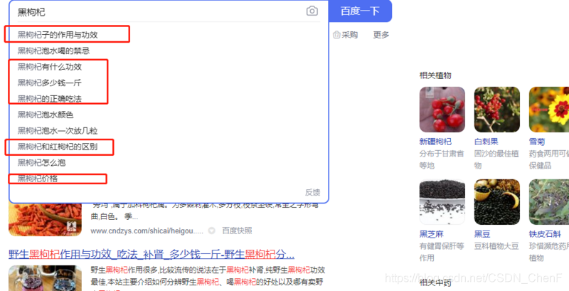  高階欄目打造