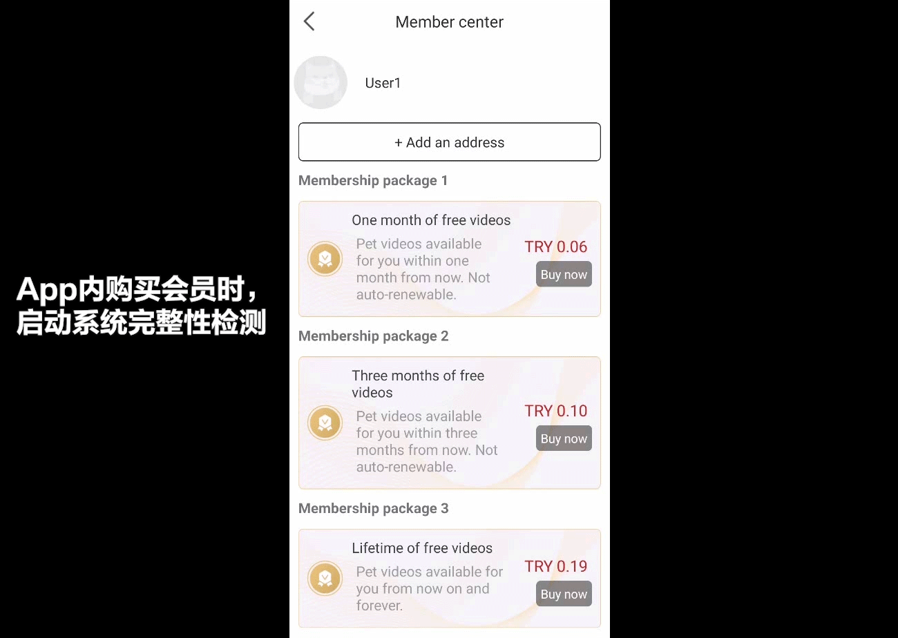 演示效果
